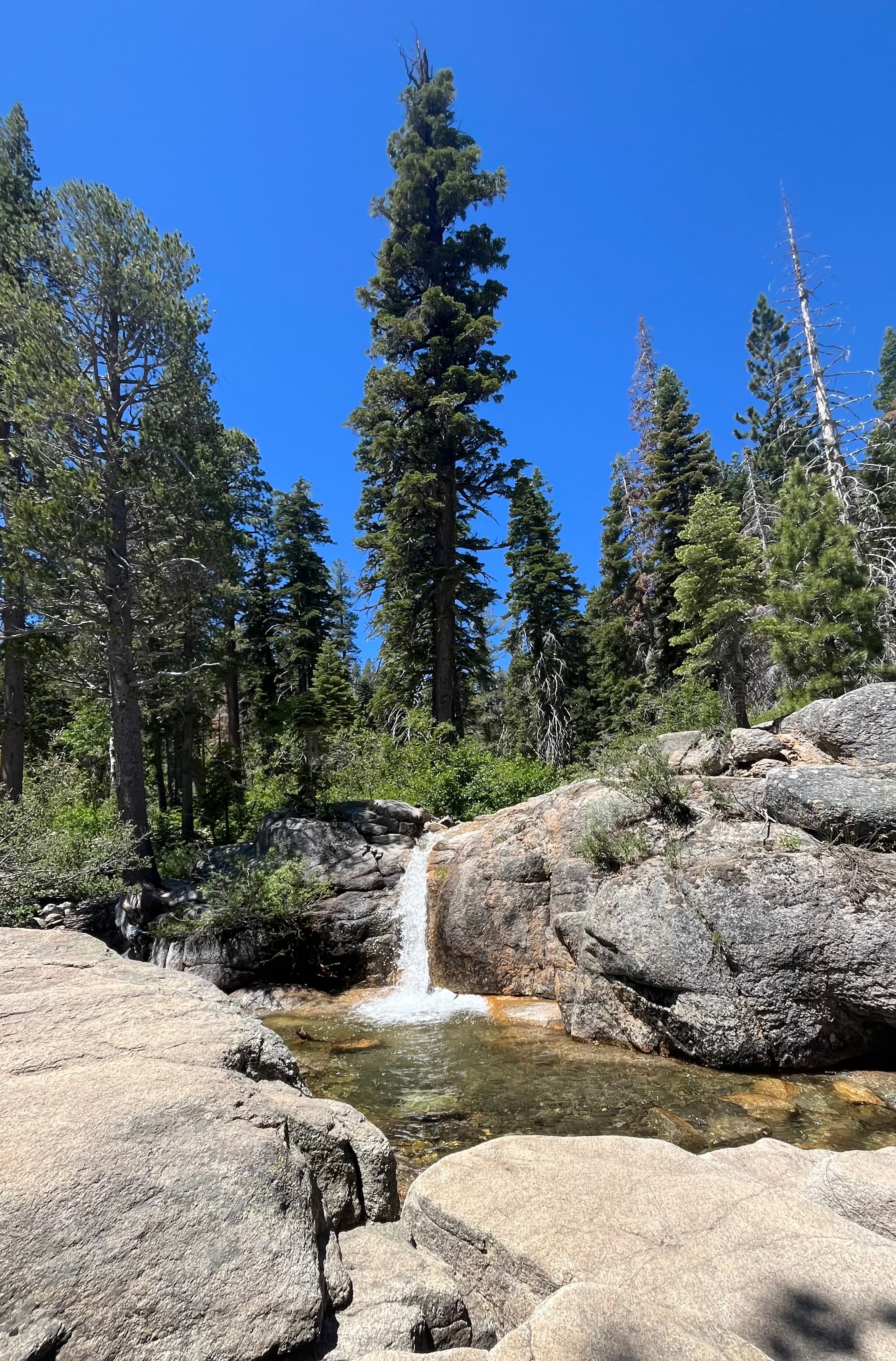 Shirley Canyon Hike + Swim Hole Hang π flyer